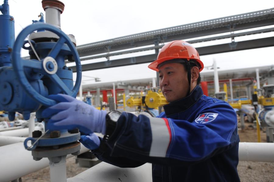 Ежегодно в СВФУ выпускаются 50 специалистов для нефтегазовой отрасли Якутии
