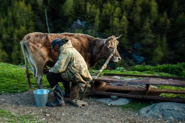Заблудившегося в лесу пенсионера спасли в Нюрбинском районе Якутии