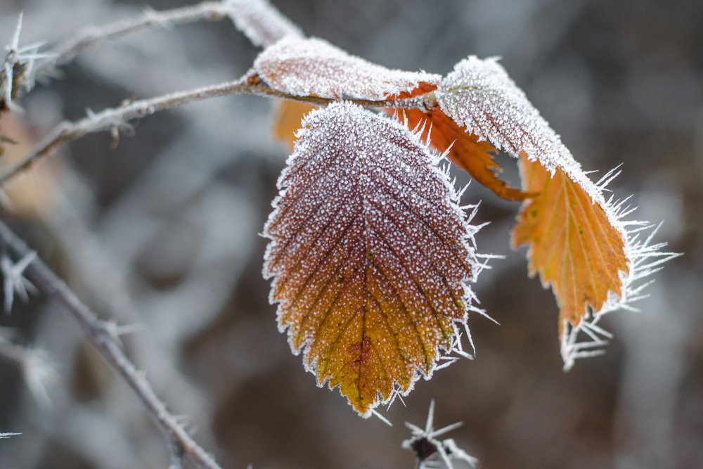 Аномально теплую погоду в октябре и ноябре прогнозируют в Якутии