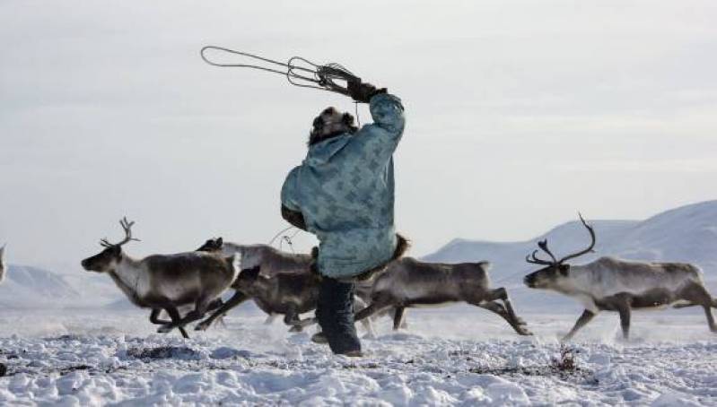 Спасатели нашли пропавших оленеводов на севере Якутии