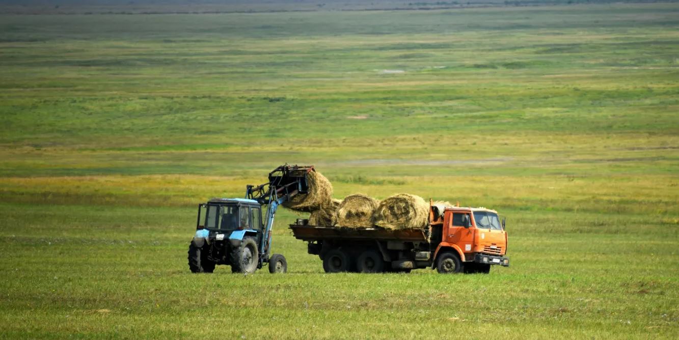 Почти 17,5 тыс тонн сена заготовили на отдаленных угодьях в Якутии