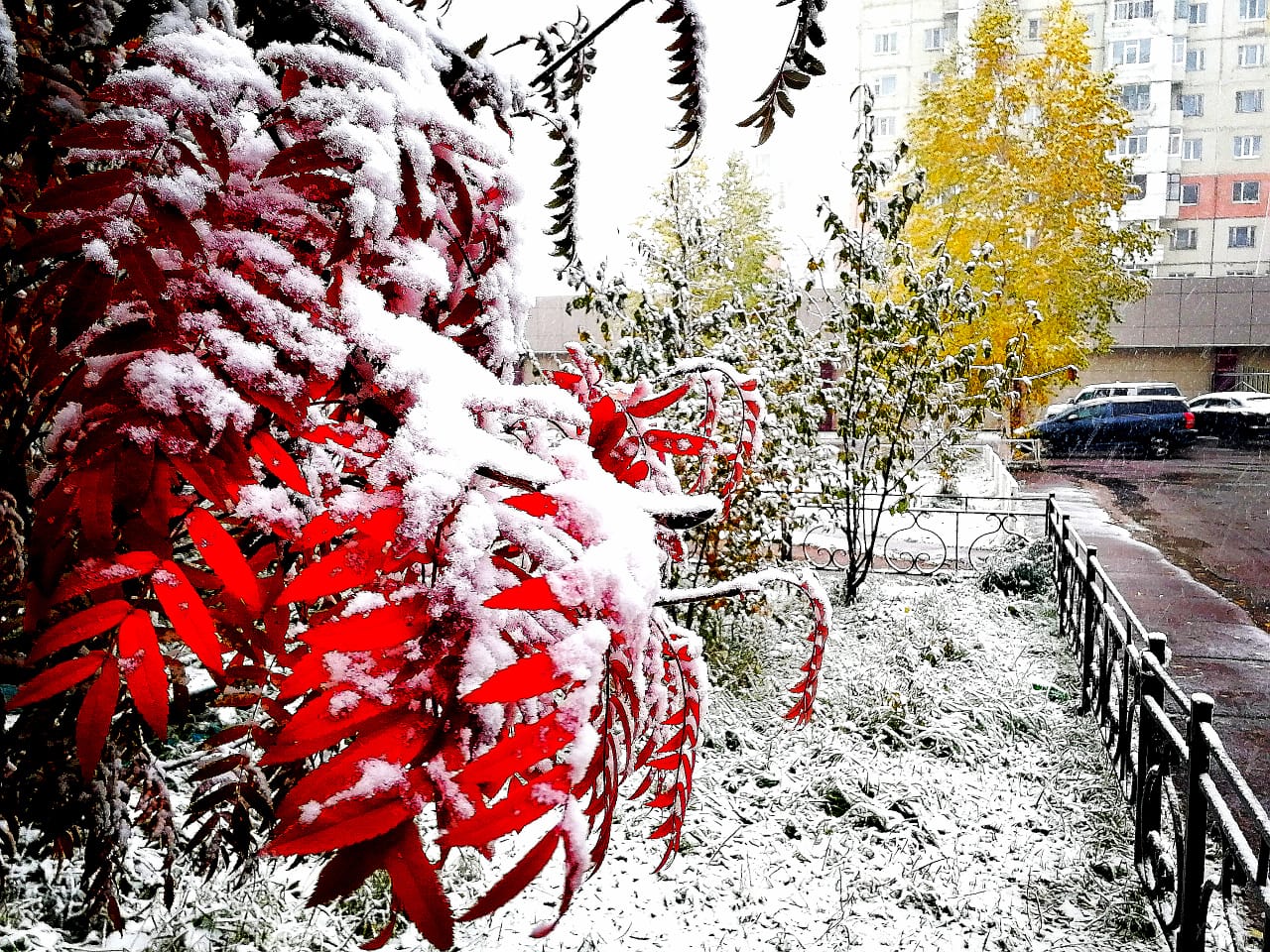 Температуру выше нормы прогнозируют в Якутии в октябре