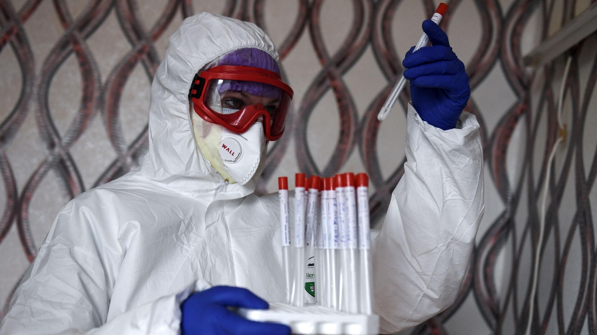 Случаев заражения новым штаммом коронавируса «цербер» не зафиксировали в России