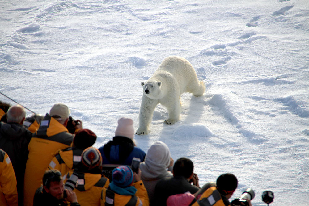 Кластер экстремального туризма создадут в арктическом районе Якутии