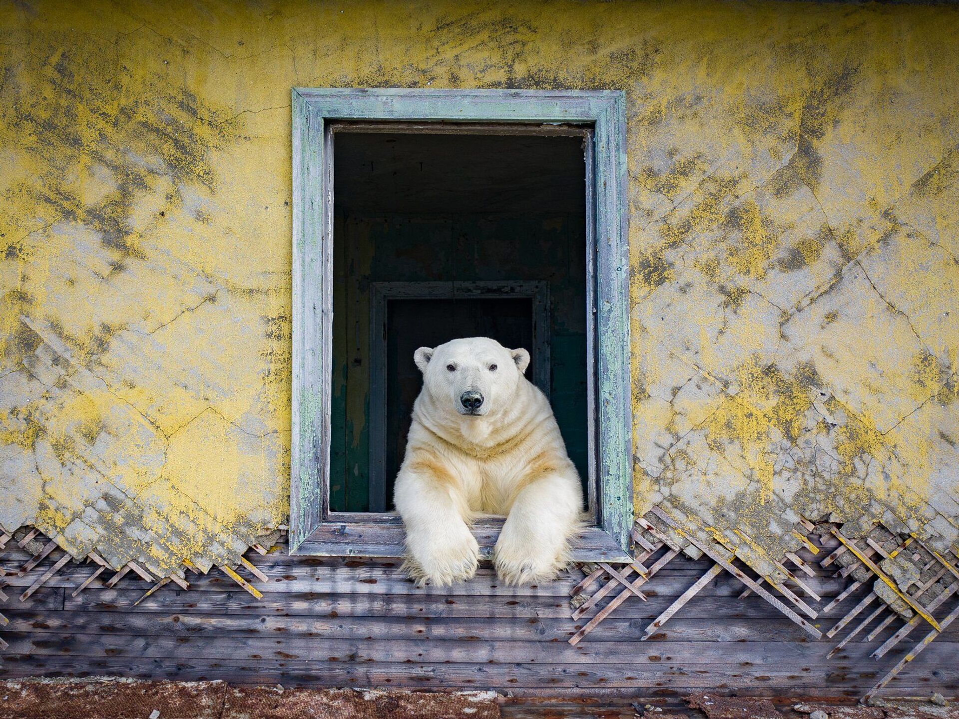 Дома для туристов построят в заповеднике «Медвежьи острова» в Якутии