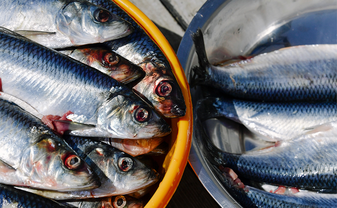 Стоимость рыбы в России выросла за пять лет на 32%