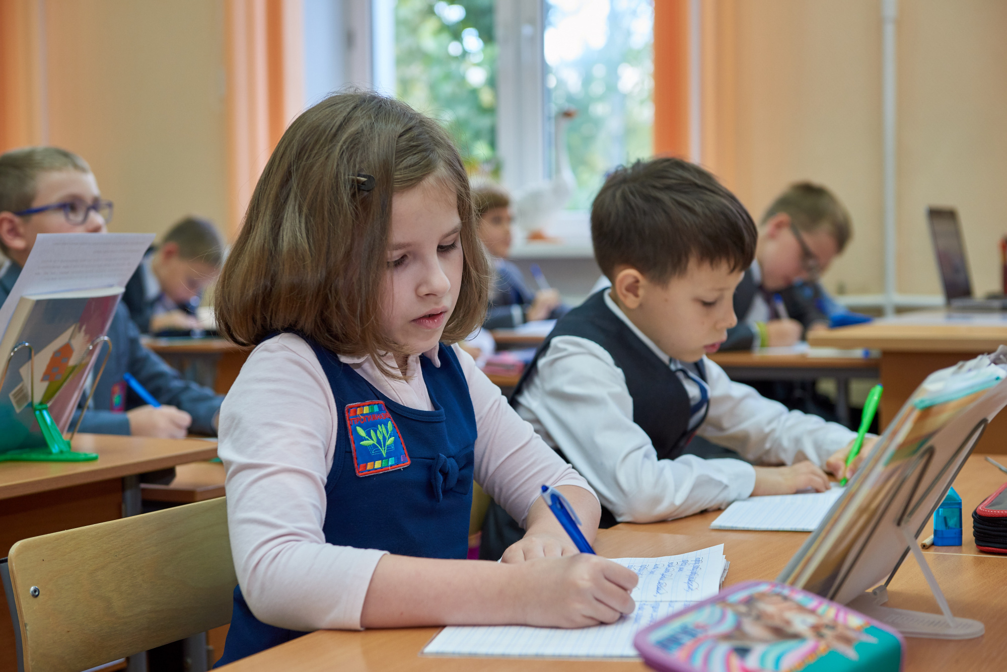 Программу развития образования в новых регионах России подготовят до 15 декабря