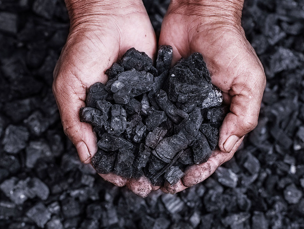 Новые месторождения коксующегося угля планируют освоить в Якутии