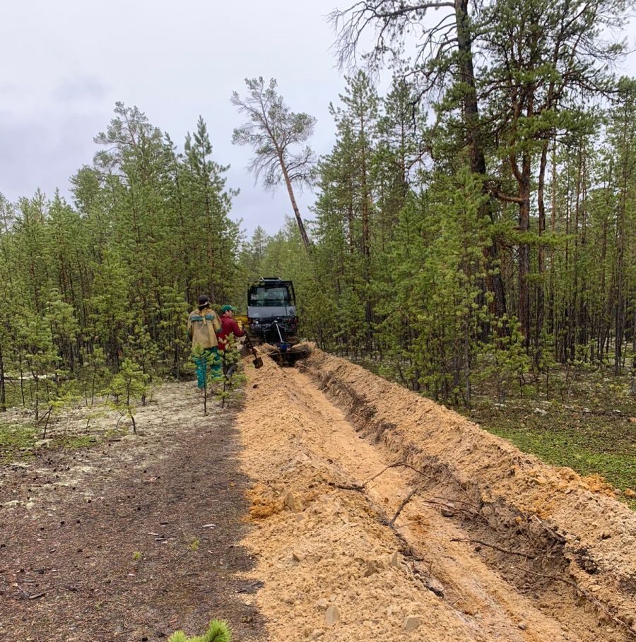 Противопожарные полосы создают в лесах 22 районов Якутии