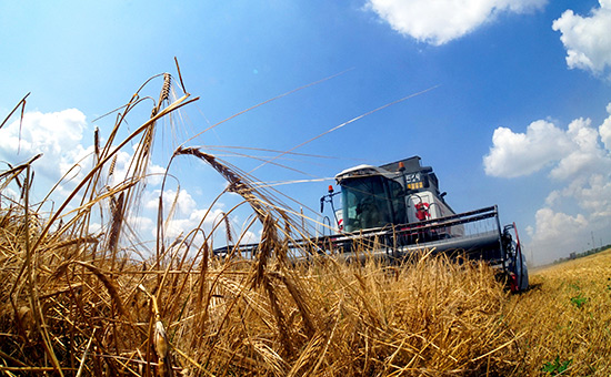 5 млрд рублей дополнительно направят на кредитование аграриев в России