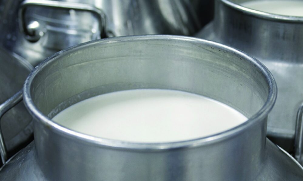 18 предприятиям просубсидируют закупку сухого молока в Якутии