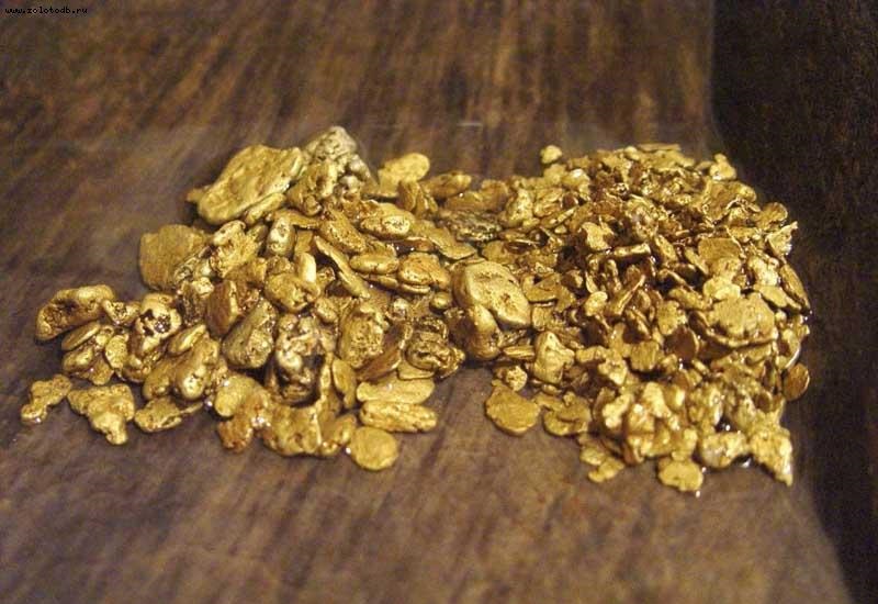 Уроженца Нюрбинского района подозревают в хищении золота