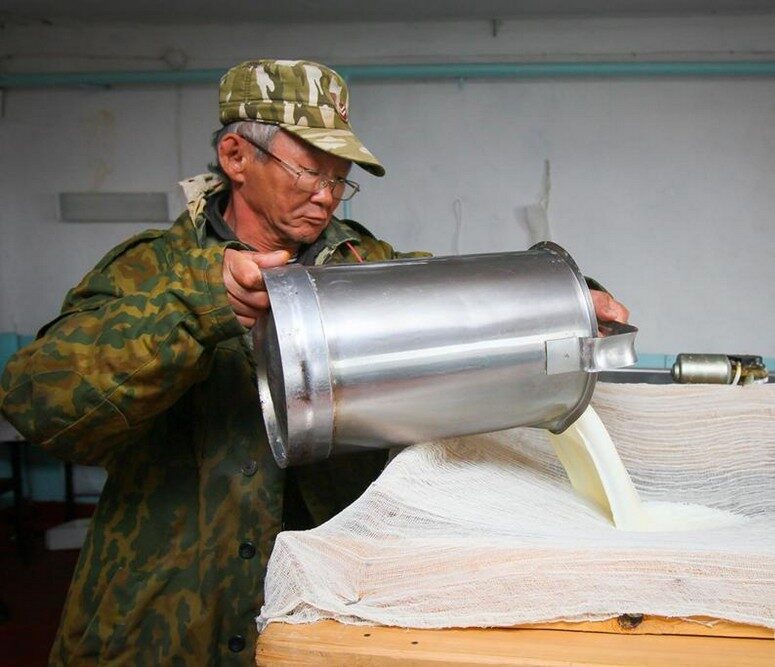 Аграрии рассчитывают перевыполнить план заготовки молока в Якутии