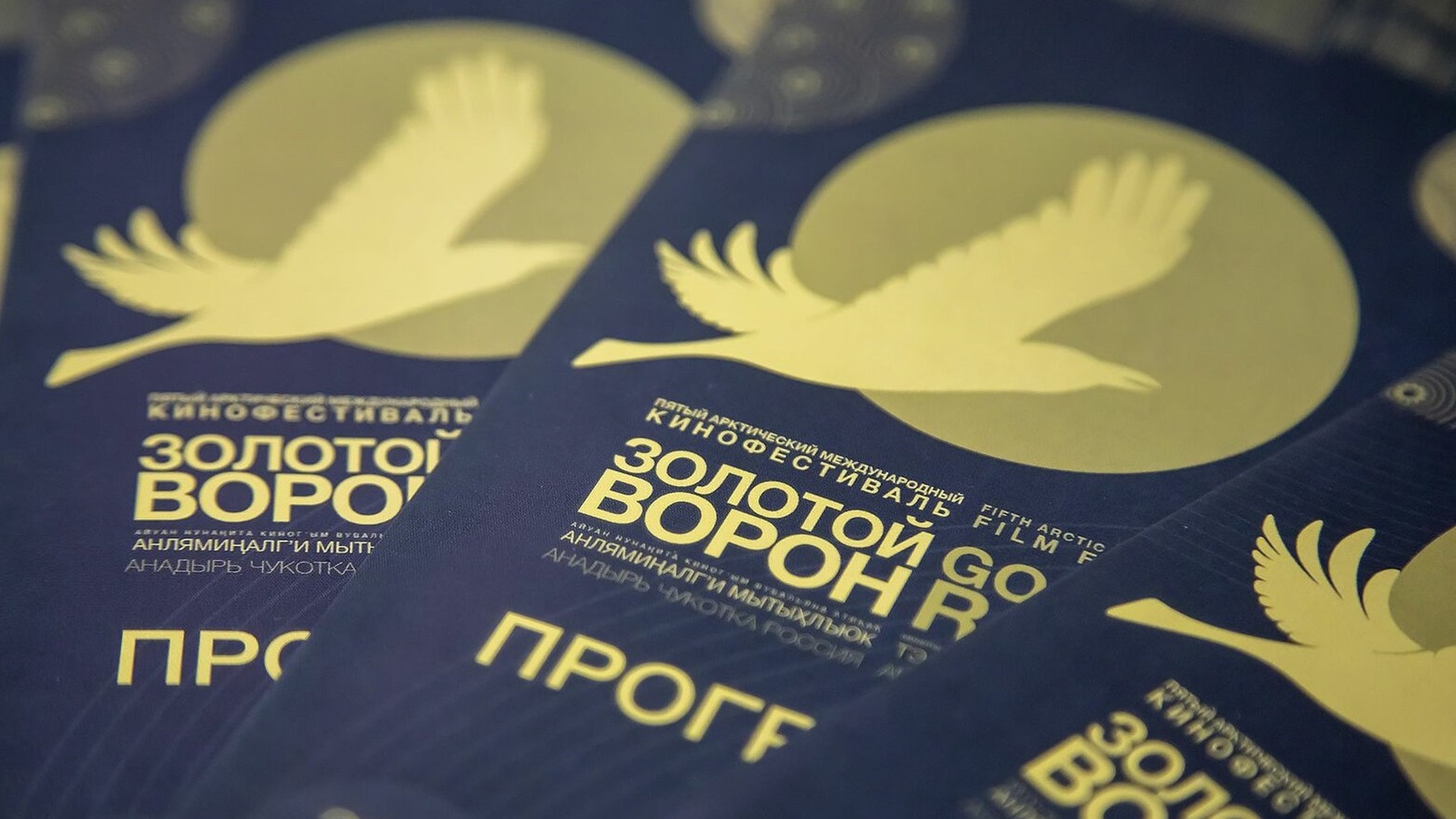 Фильмы международного кинофестиваля «Золотой ворон» планируют показать в Якутии