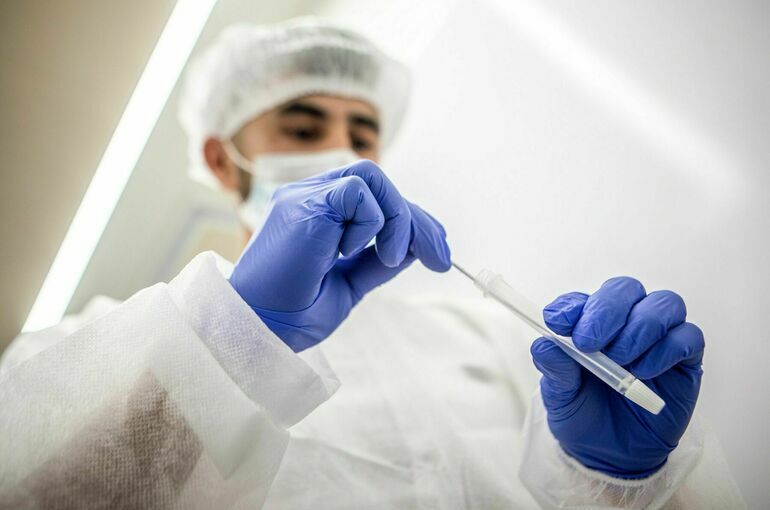 Субвариант омикрон-штамма коронавируса «кракен» обнаружили в России