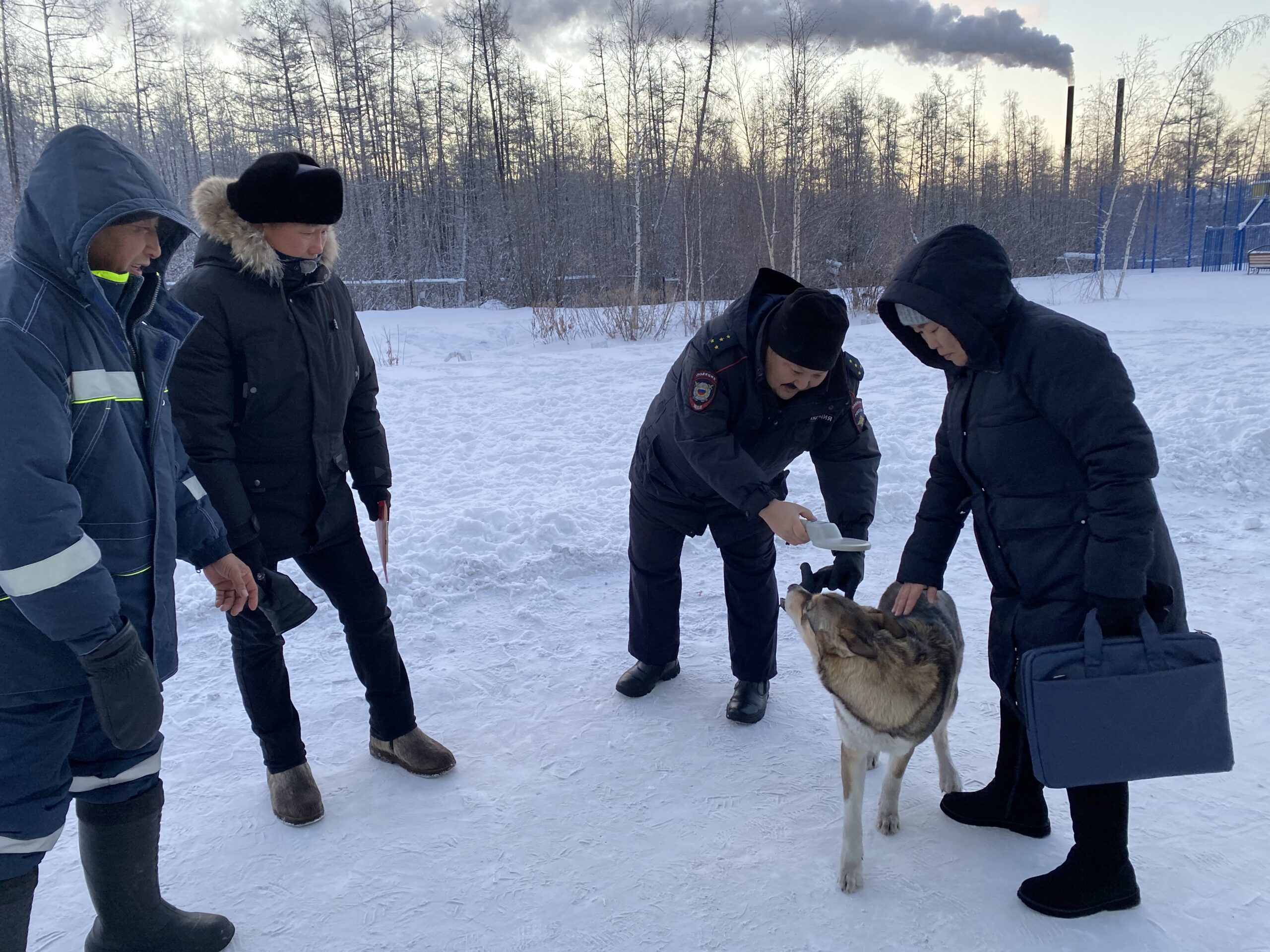 Свыше 90 якутян оштрафовали за нарушение правил содержания животных в 2022 году