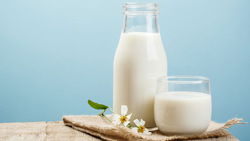 Валовый надой молока в якутском агрохолдинге «Туймаада» увеличили в 1,3 раза с 2018 года