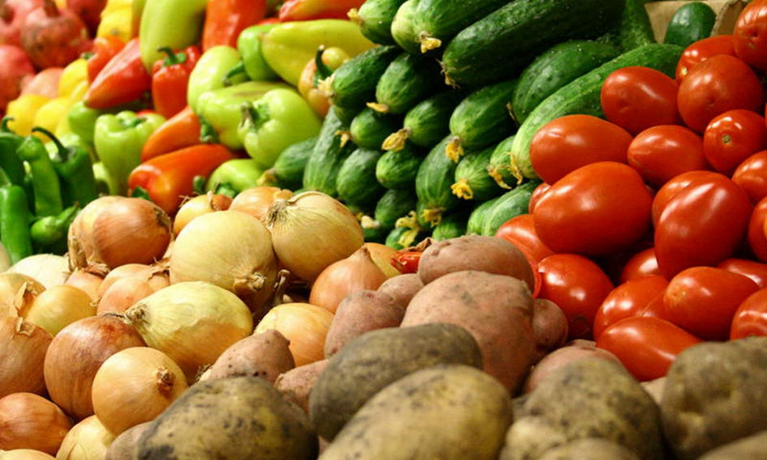 Пять млрд рублей выделят на поддержку производителей картофеля и овощей в РФ в 2023 году