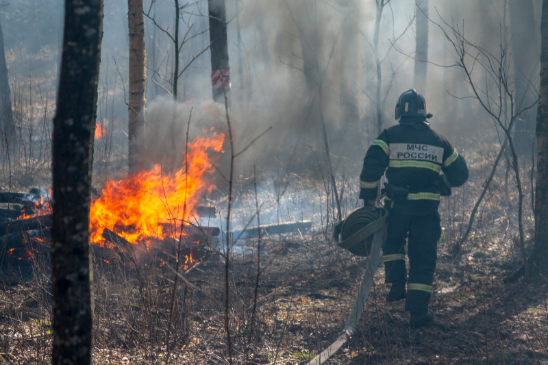Глава Якутии поручил разработать прогноз пожарной опасности в лесах на 2023 год