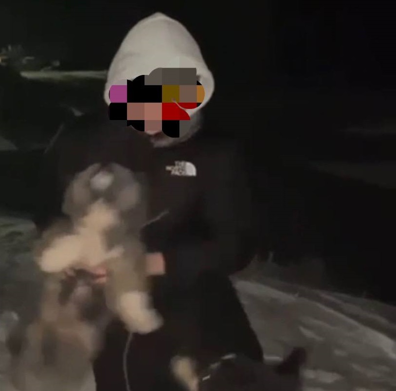 Прокуратура проверяет случай с жестоким обращением с щенком на видео в Якутии