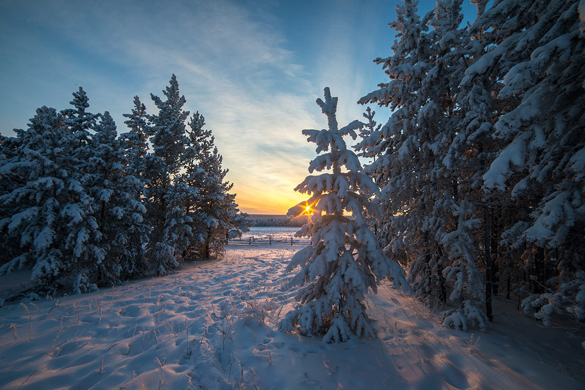 Синоптики прогнозируют потепление в конце недели в Якутии