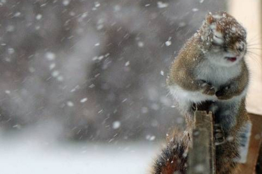 Снегопад с сильным ветром ожидается 11 марта в Алданском и Нерюнгринском районах