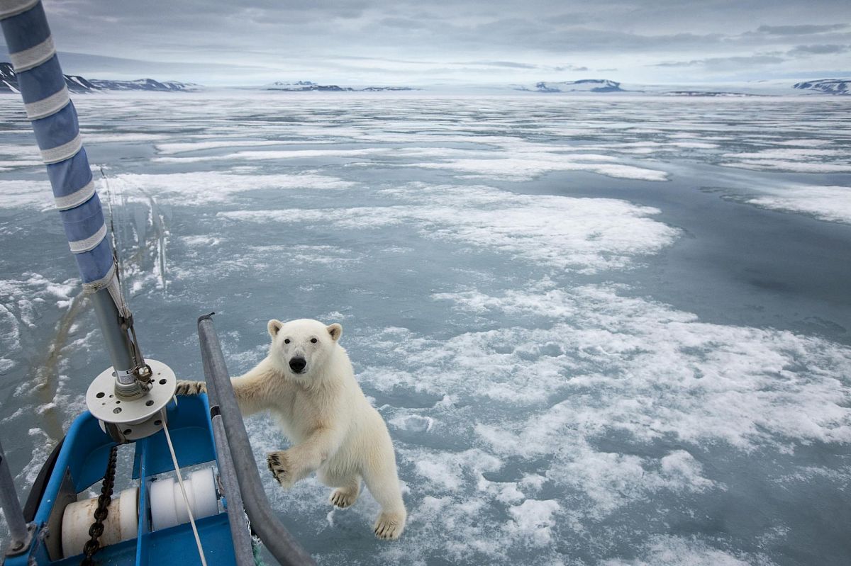 Якутия и Югра планируют провести арктическую стартап-экспедицию в 2023 году