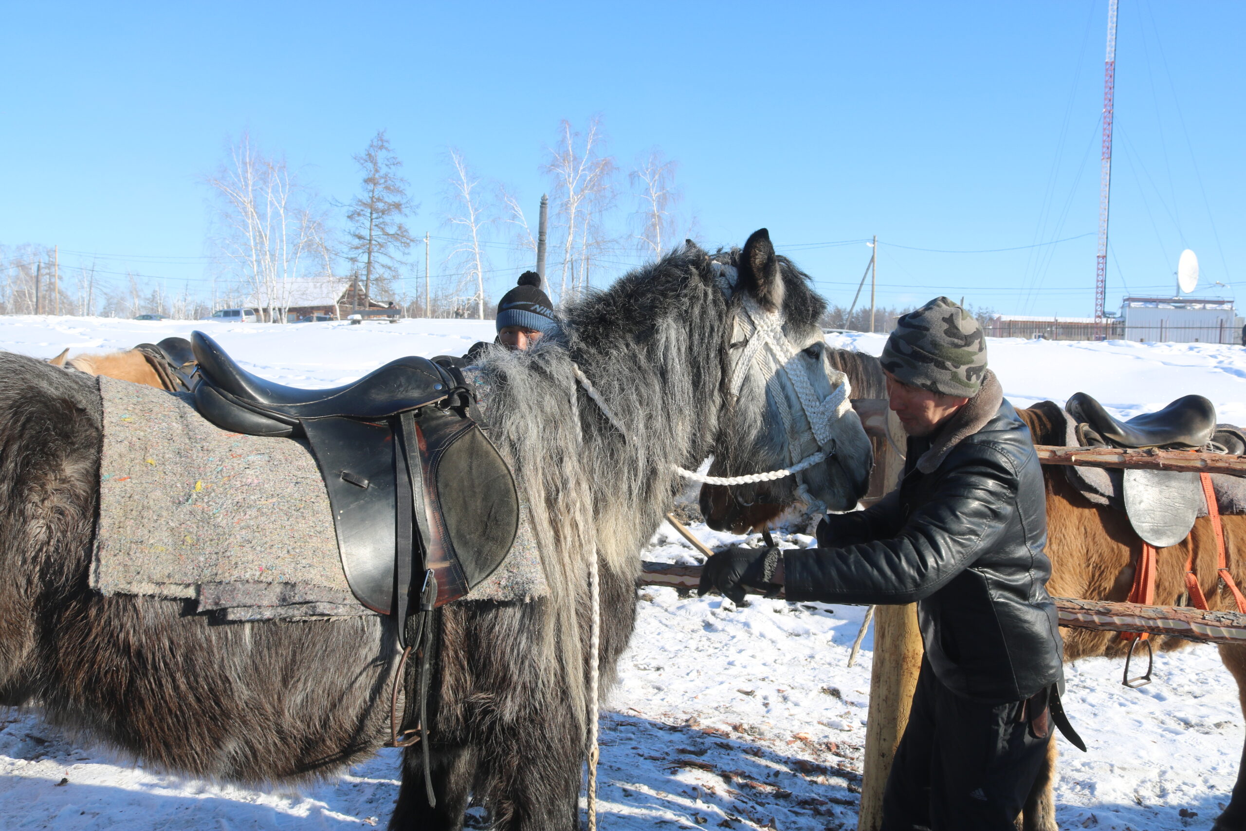 День коневода-табунщика проведут в Якутии 21 марта 