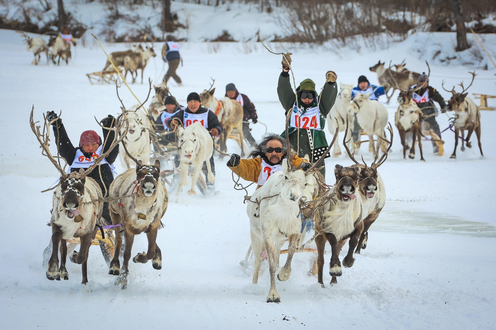 Массовые гонки на оленьих упряжках прошли в Якутии