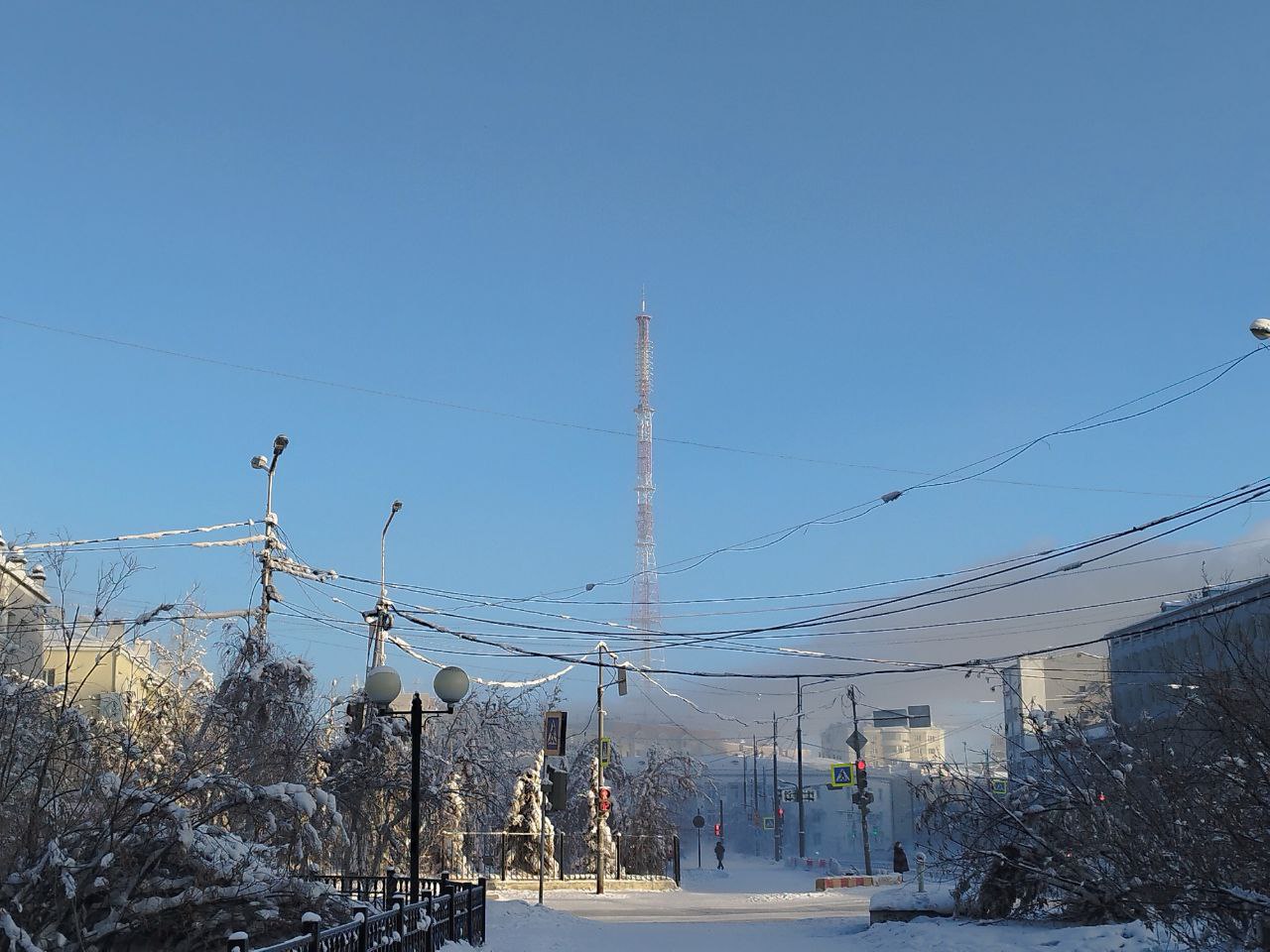 Северный форум по устойчивому развитию в Якутске предложили провести в ноябре