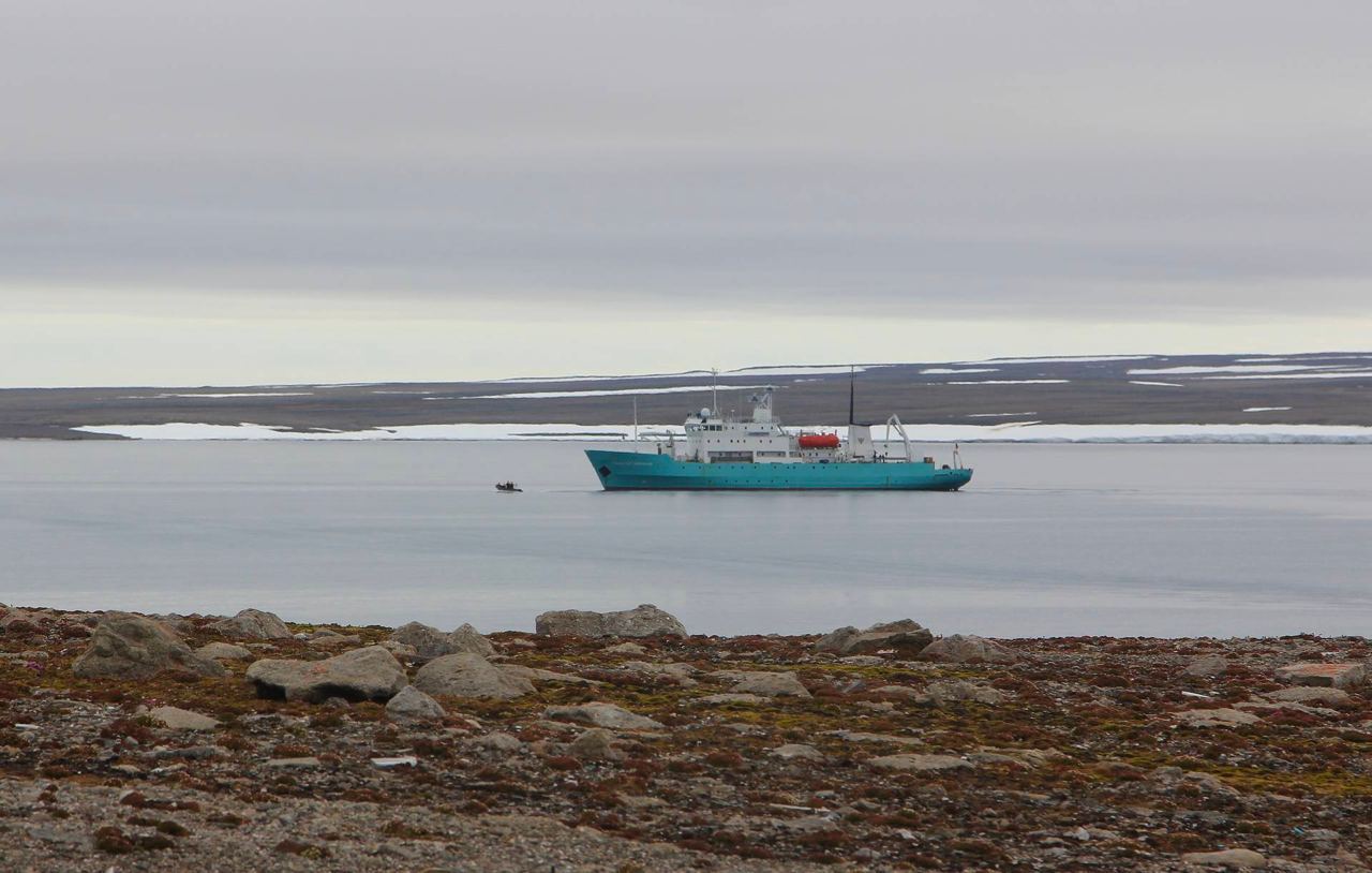 Экспедиция «Арктический плавучий институт» стартует летом этого года в России