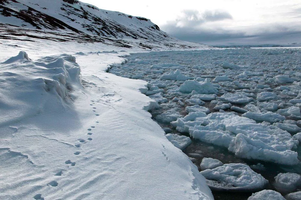 Более 200 экспертов примут участие в международной конференции по вопросам изменения климата в Якутске