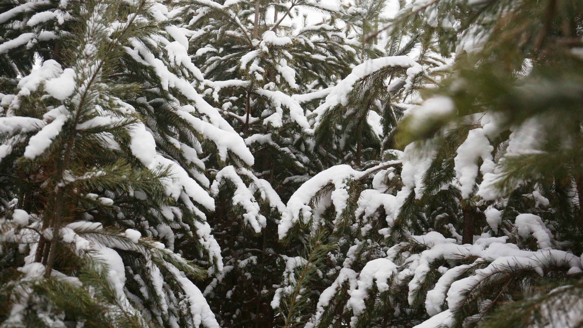 Экстремально высокие запасы снега наблюдаются в нескольких районах Якутии