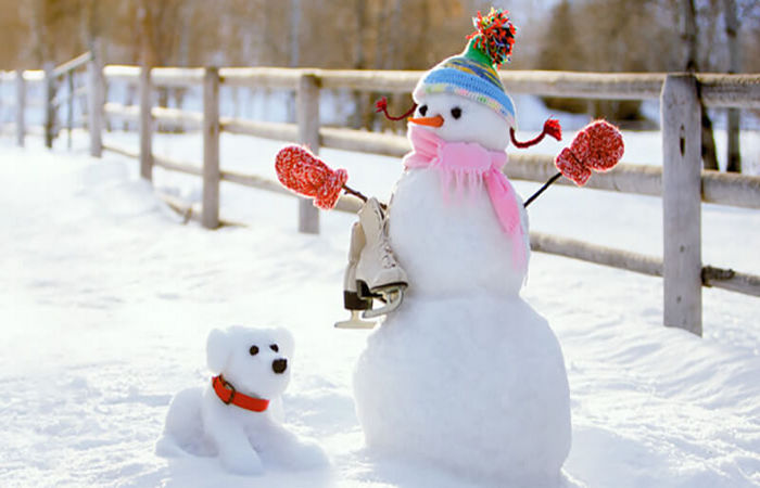 Как слепить снеговика из снега: пошаговая инструкция, видео, фото, идеи