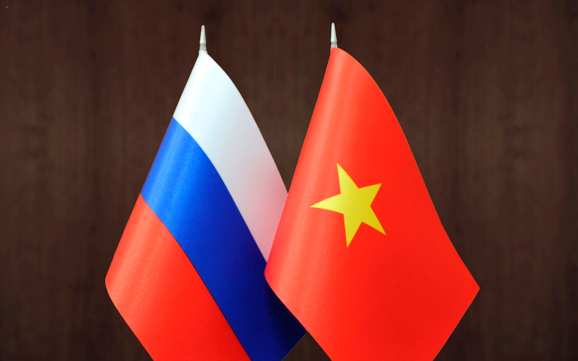 Россия намерена наладить с Вьетнамом совместное производство электронных ускорителей