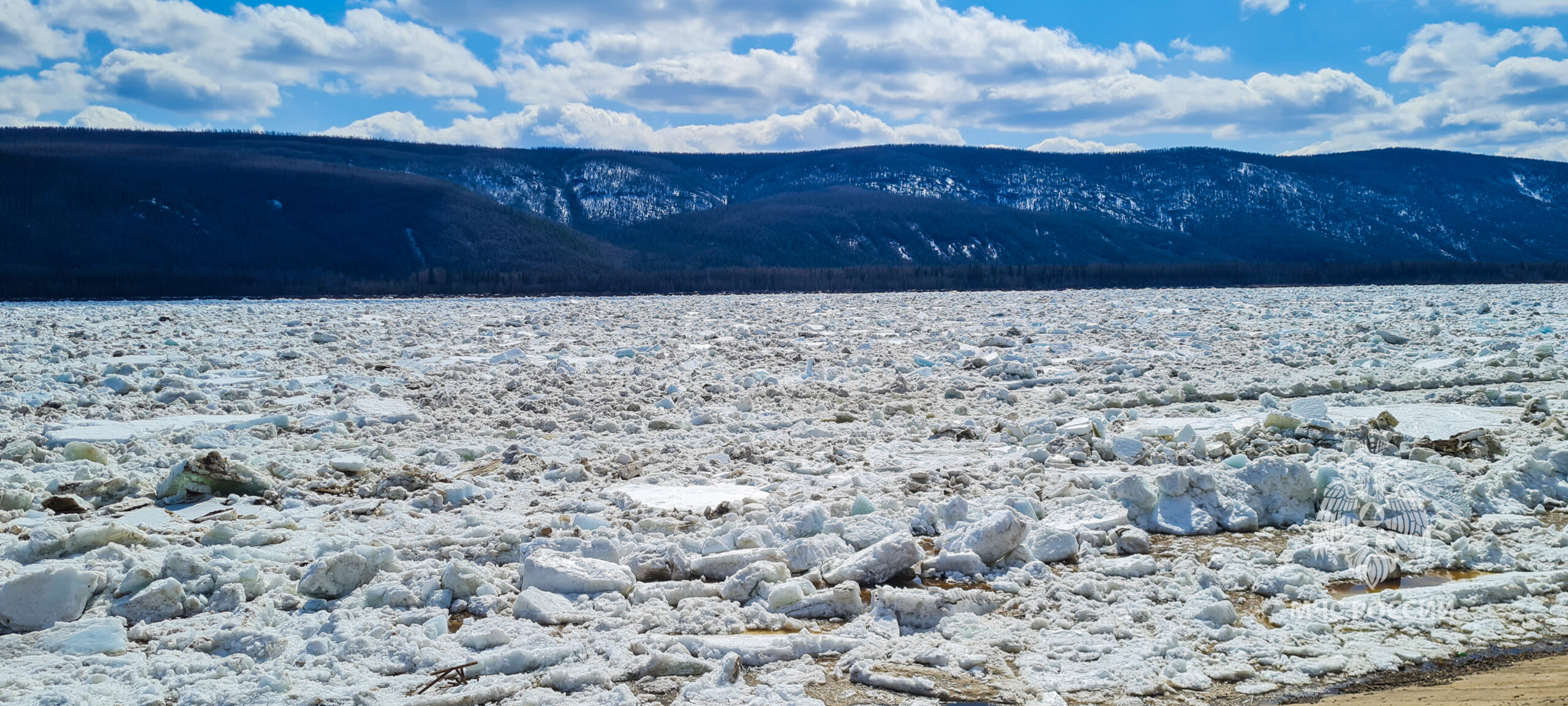 Заторных участков ледохода у Батамайских островов в Ленском районе Якутии нет 