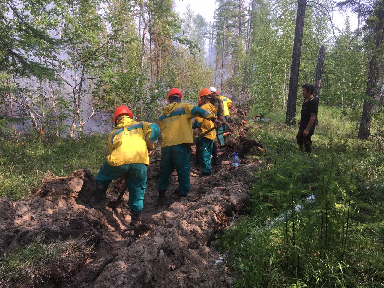 Лесной пожар потушили в Хангаласском районе Якутии