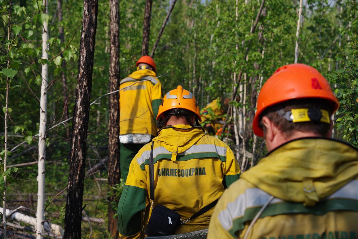Очередной лесной пожар ликвидировали на территории Якутии