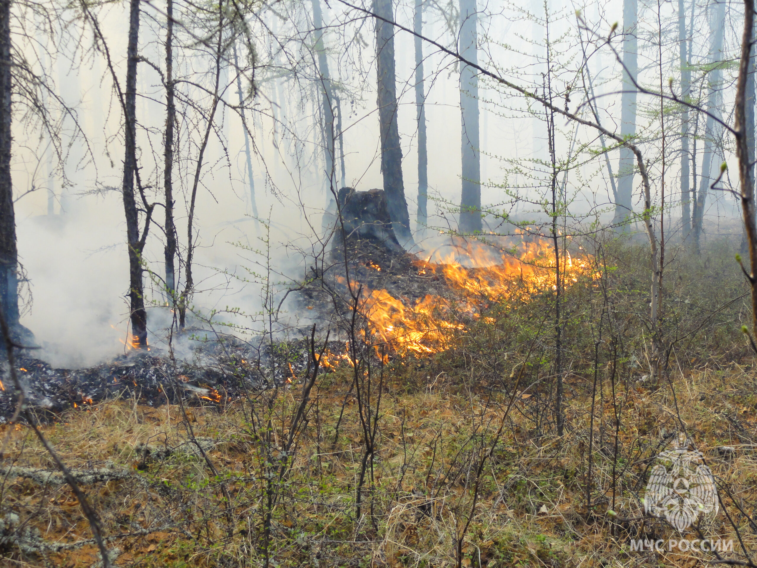 Пожароопасный сезон установлен на территории Центральной Якутии