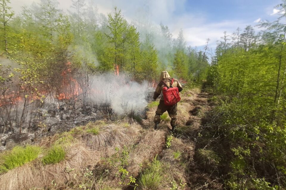 Лесной пожар обнаружили на территории Сунтарского района