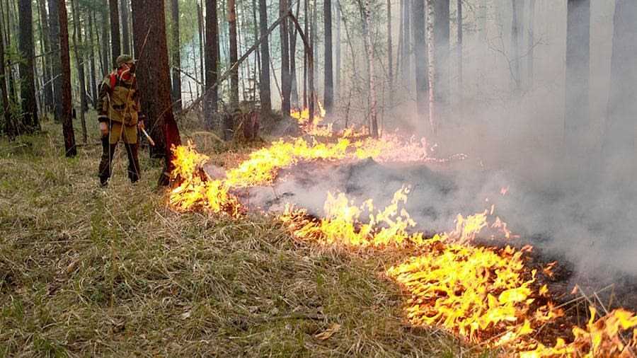 Лесные пожары зарегистрировали на территории Хангаласского района