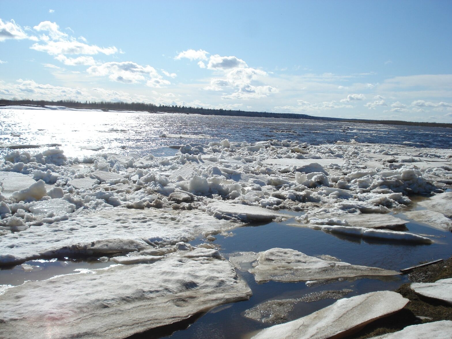 Активная фаза ледохода на реке Лене проходит по территории Жиганского района