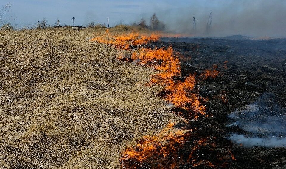 Сельхозпалы стали причиной первых лесных пожаров в Якутии