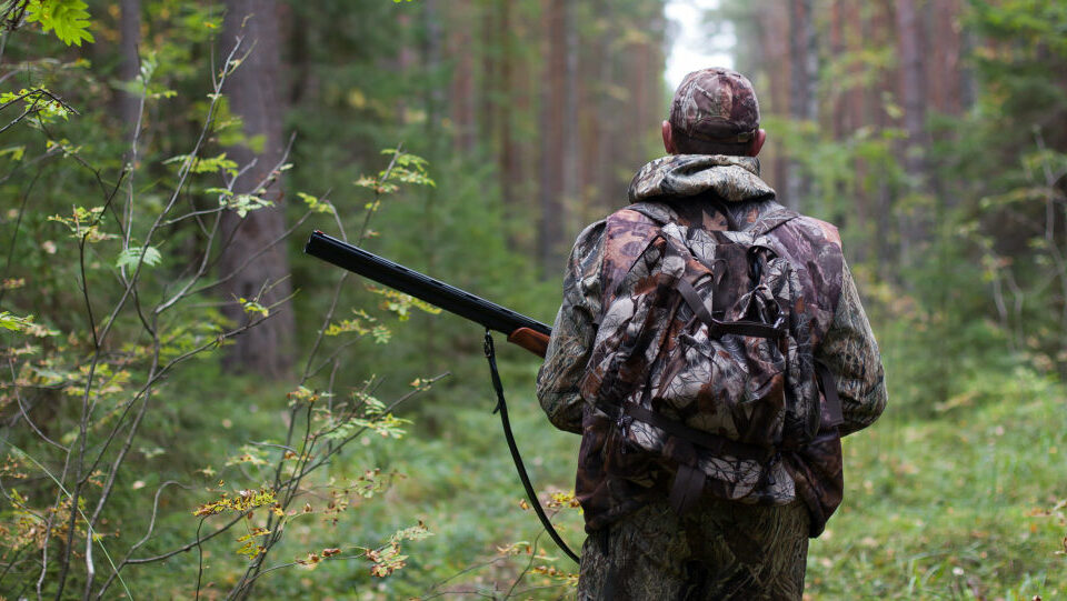 Материальное поощрение охотников могут ввести в Нюрбинском районе Якутии