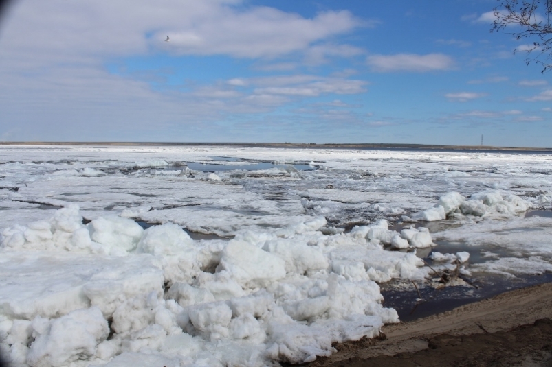 Режим ЧС объявили из-за повышения уровней воды в Усть-Янском наслеге в Якутии