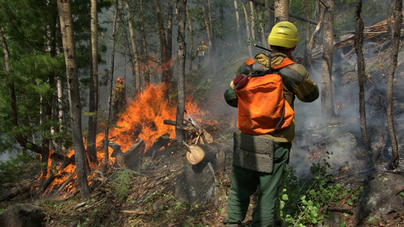 Пять лесных пожаров ликвидировали в Якутии