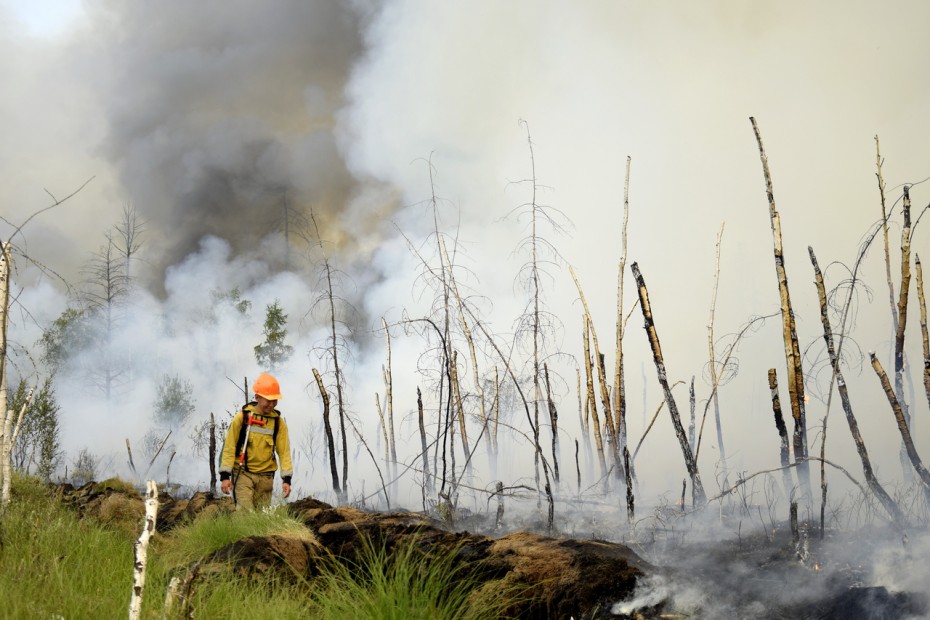 Площадь лесных пожаров в Якутии сократилась более чем в 30 раз в сравнении с 2021 годом