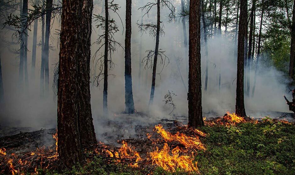 Два лесных пожара ликвидировали в Якутии