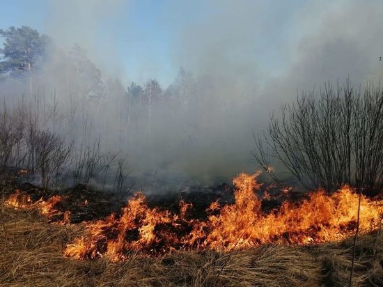 Лесной пожар локализовали на территории Олекминского района Якутии