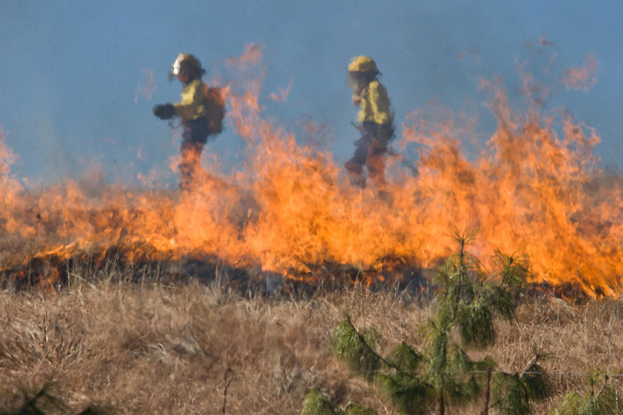 Шесть лесных пожаров потушили в Якутии за сутки 